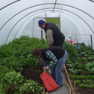 West Cork Development Partnership RSS