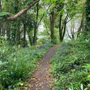 Wild Work; SECAD, West Limerick Resources and Cavan County Local Development