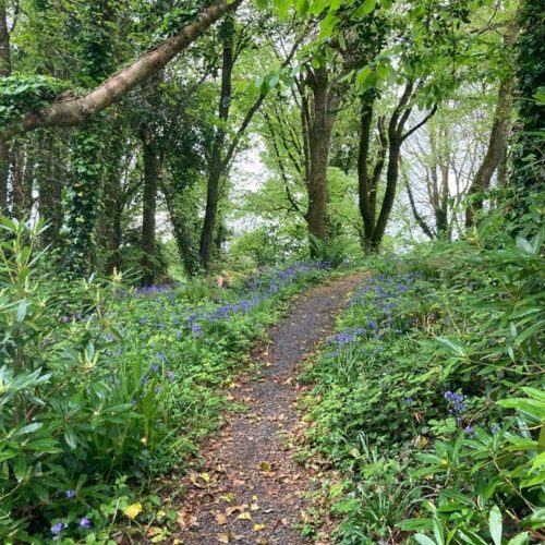 Wild Work; SECAD, West Limerick Resources and Cavan County Local Development