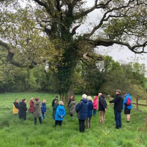 Wild Work; SECAD, West Limerick Resources and Cavan County Local Development