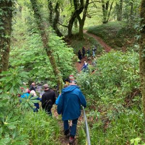 Wild Work; SECAD, West Limerick Resources and Cavan County Local Development