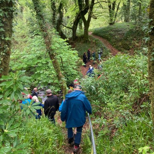 Wild Work; SECAD, West Limerick Resources and Cavan County Local Development