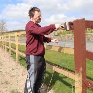 IRD Duhallow Social Farming